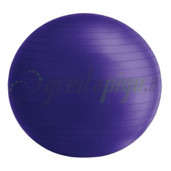 SPORTO IR GIMNASTIKOS KAMUOLYS Ø 75 cm – 24241 - J